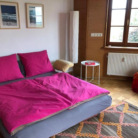 Ferienwohnung Am Donauradwanderweg Riedlingen Bagian luar foto
