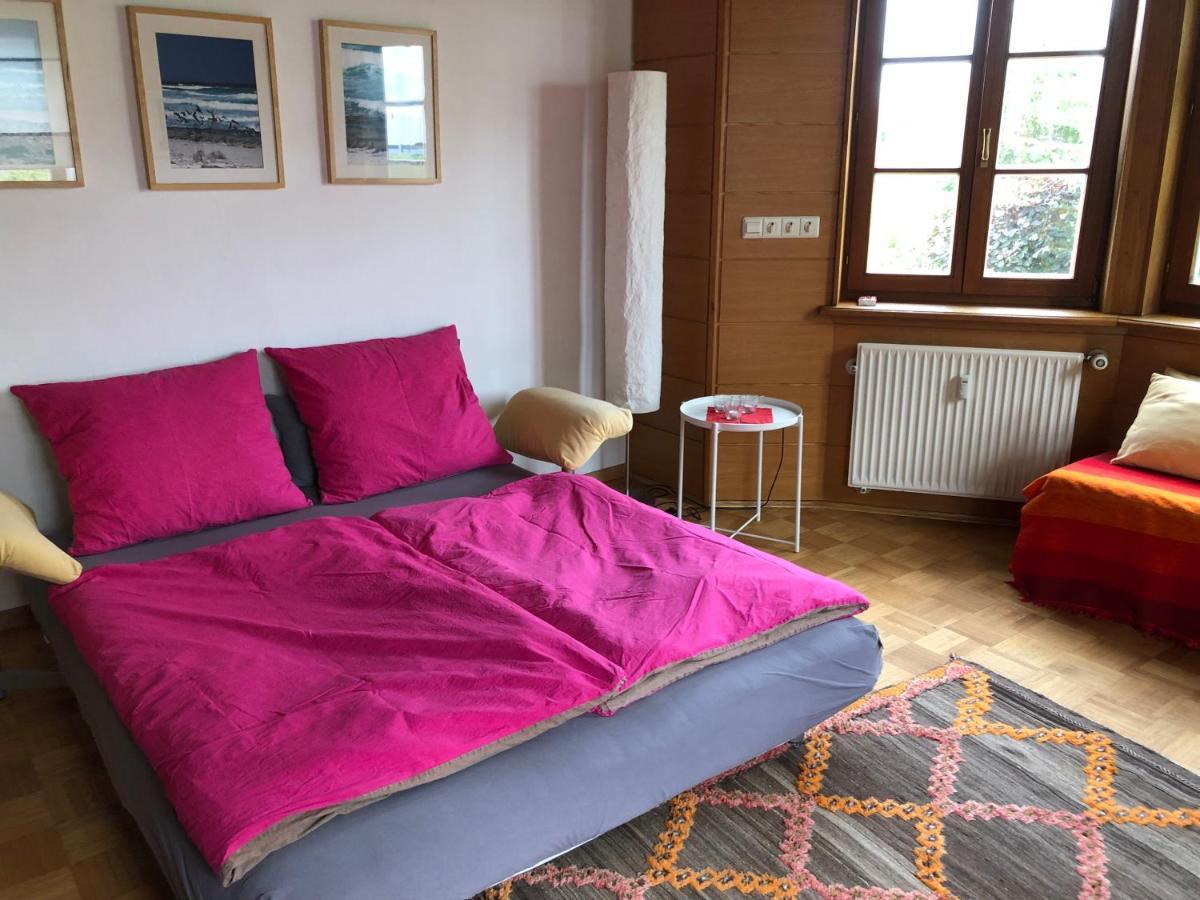 Ferienwohnung Am Donauradwanderweg Riedlingen Bagian luar foto